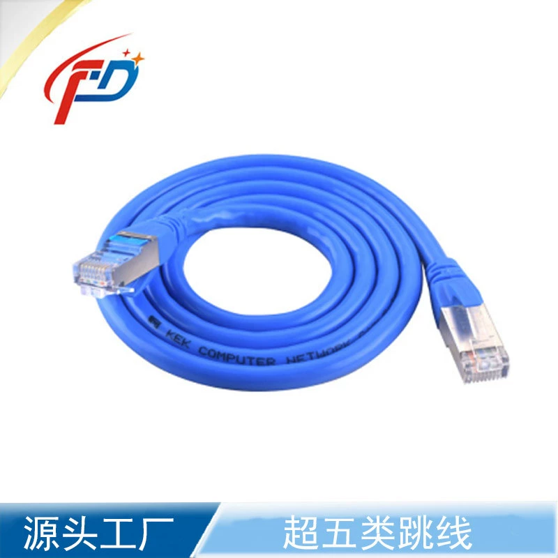 Голубой прыгун сети маршрутизатора компьютера прыгуна 1 м сети ядра прыгуна РДЖ 45 8 категории 6 категории 5