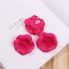 Rose Red