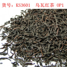 �������a�m�t�� ���߮a�^��oƴ��  OP1�t���c���_ķ�t���R��