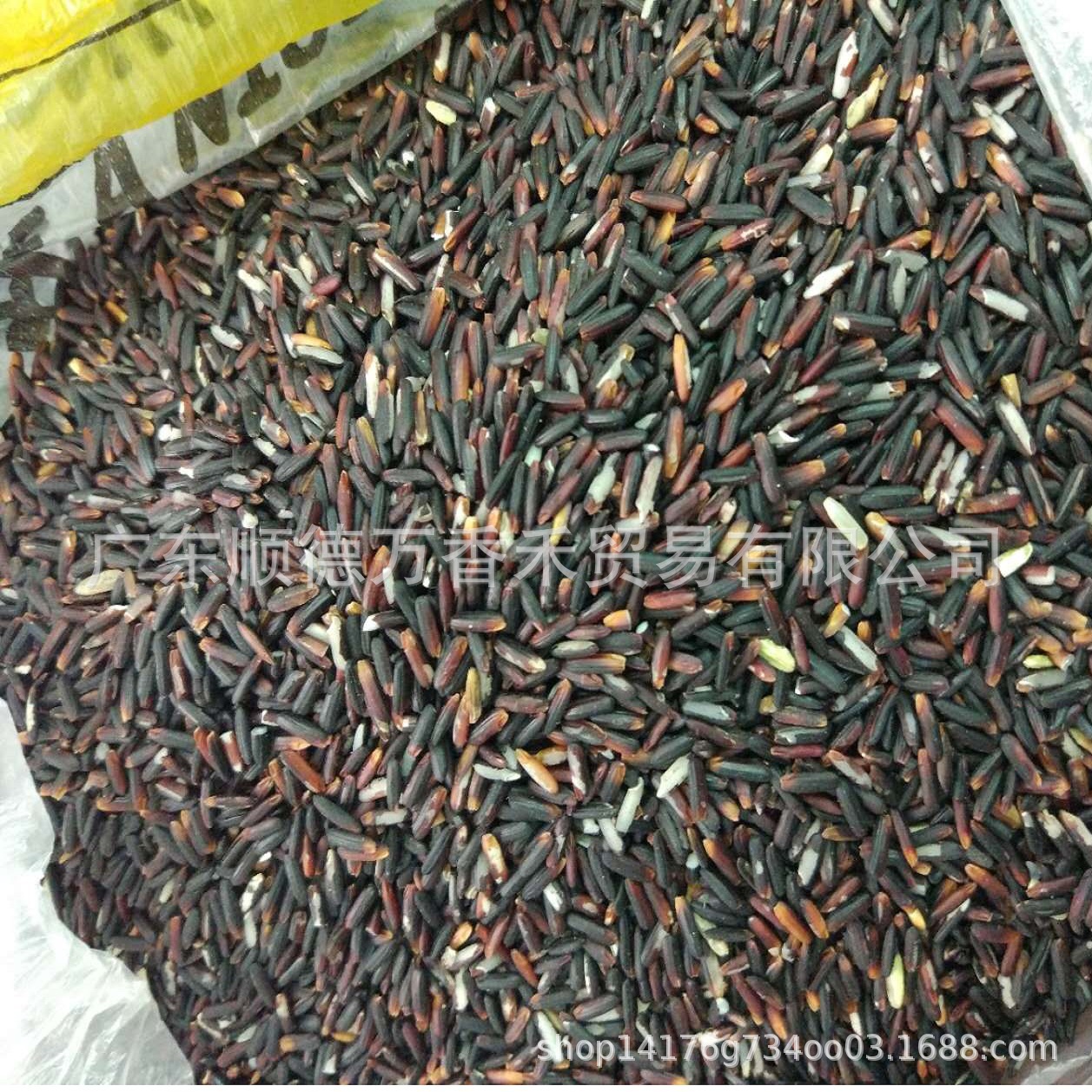 紫糯米 黑糯米 血糯米 五彩米 黑糯批发