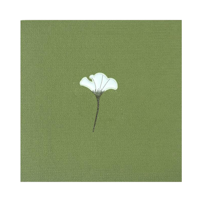 은행 나무 biloba-녹색