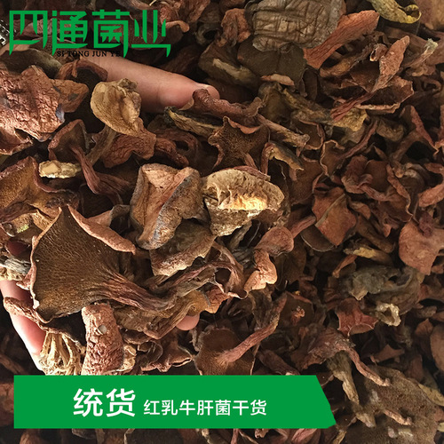 Yunnan specialty bulk red milk boletus dry goods boletus vegetarian hot pot dried mushrooms wholesale dropshipping