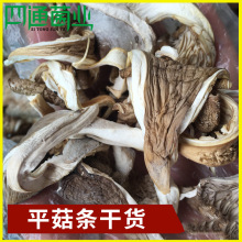 �F؛���� ��ϸ�ԭ�خa��ζƽ���l��؛ ɢ�b��Ģ�� �S�����l