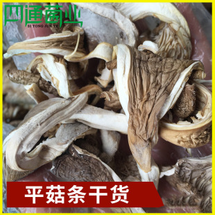 �F؛���� ��ϸ�ԭ�خa��ζƽ���l��؛ ɢ�b��Ģ�� �S�����l