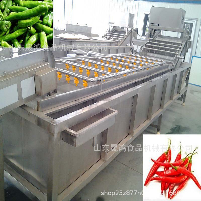 现货供应不锈钢蔬菜清洗机 气泡喷淋清洗设备 白菜气泡清洗机报价