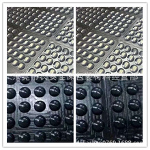 ͸�����z�| �����z�| ���zO��Ȧ ���zƿ�w�| ��ճ�Ҿ߷�ײ�z�|