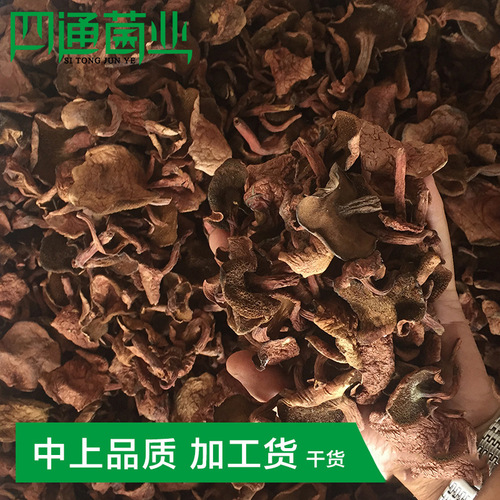 Yunnan specialty bulk red milk boletus dry goods boletus vegetarian hot pot dried mushrooms wholesale dropshipping