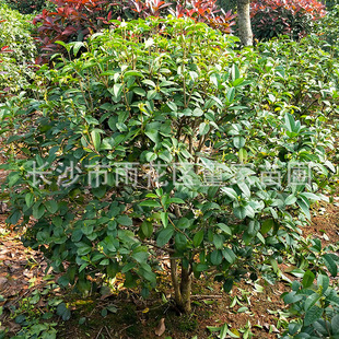 ���l�ڷ�1�׵��ļ����� ���¹��� ���Ϲ����ļ��_�� ��������