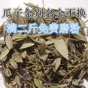 中药材 瓜子金 金不换金锁匙产后草另售各种冷背草药咨询客服-阿里巴巴