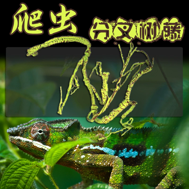 RS гусеничный ящик пейзаж дерево лоза поддельные ветки акриловая Сетка Коробка Хамелеон пена тропического леса коробка для кормления лоза украшение