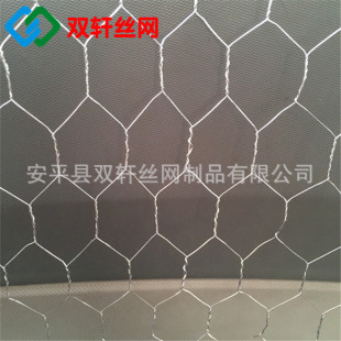 ���P䓷��B�W䓽z�W������B�W������o�W�F·��B�W�S��