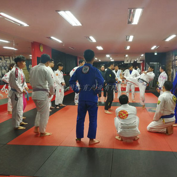 Judo mat MMA Jiu Shu wrestling fighting Mat 1 m * 2 m sponge tatami judo mat anti-slip Sports