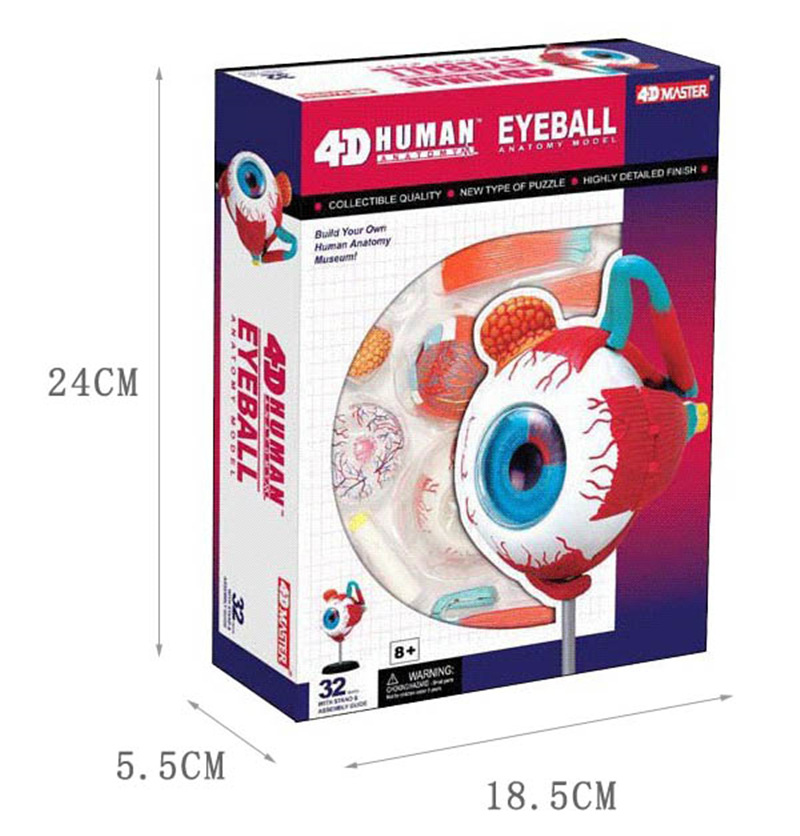 4D MAESTRO rompecabezas montado juguete humano globo ocular órgano anatomía Modelo de enseñanza médica image 3