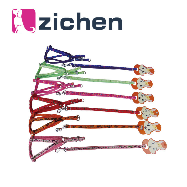 Pet supplies factory direct car line satin pull chest pet chest strap traction pet leash dog leash dog chain