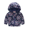 3001-6 Tibetan Blue Snowflake