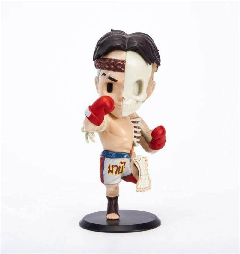 4D XXRAY [боксёр MUAY THAI RED от JPX & MIGHTY Jason Freeny]