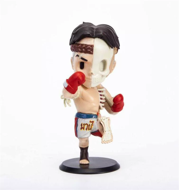 4D XXRAY [боксёр MUAY THAI RED от JPX & MIGHTY Jason Freeny]