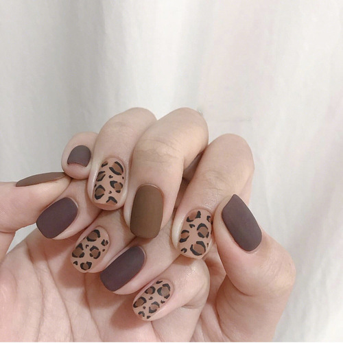 New Ins Xiaohongshu Leopard Print Nail Stickers Waterproof Durable European and American Nail Stickers Suitable for Pregnant Women Nail Decal