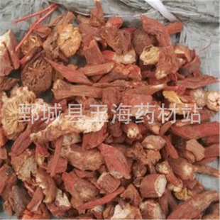 ���ϵ��� ������