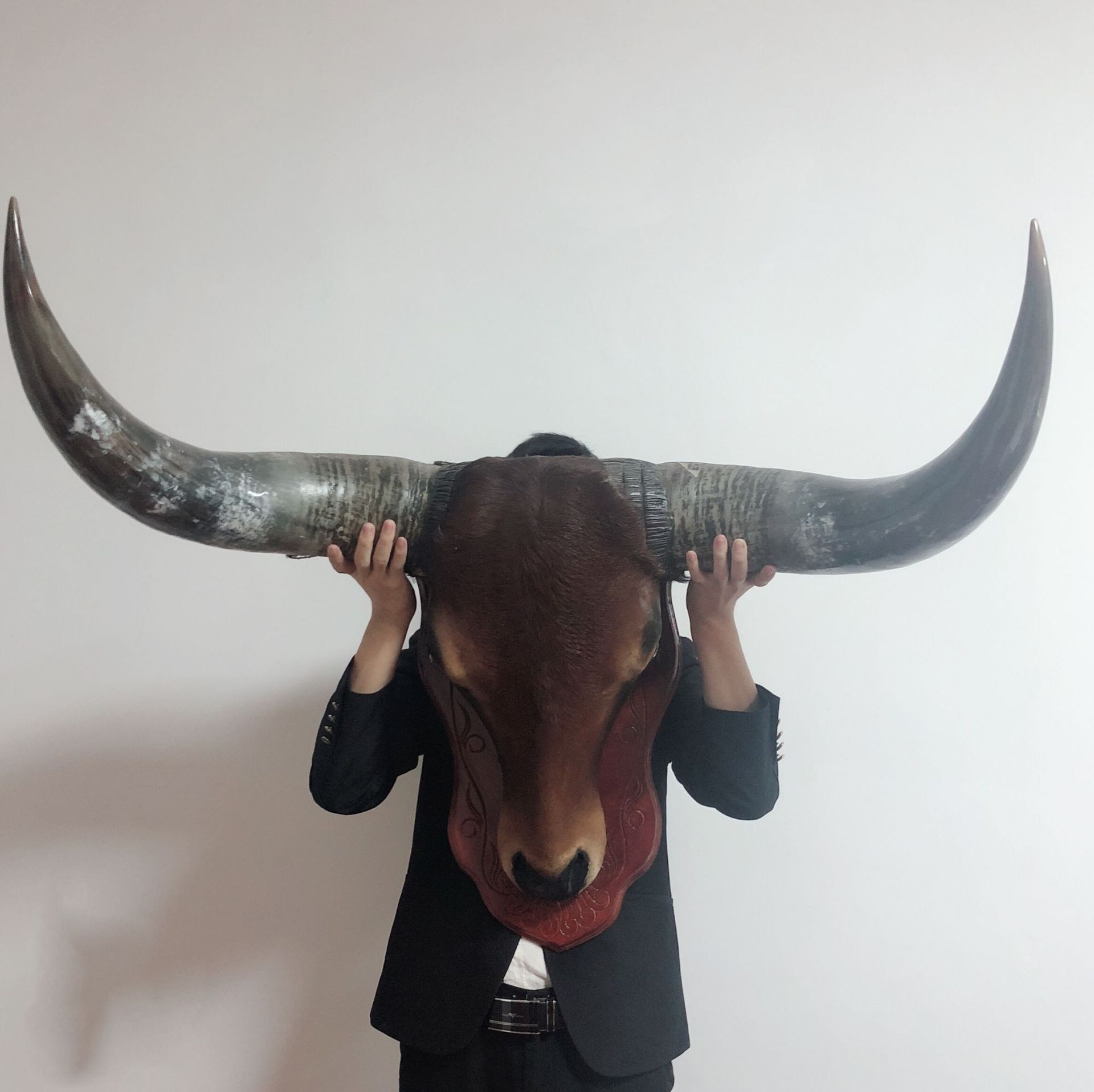 天然真牛角牛皮装饰 工艺品挂件 档口办公室大厅摆件 真牛头挂件