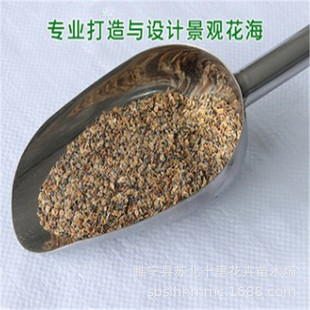 ���l�ݻ��N�����_�m�N�� �л����_�{�N�� ���ҿ� ����ă�