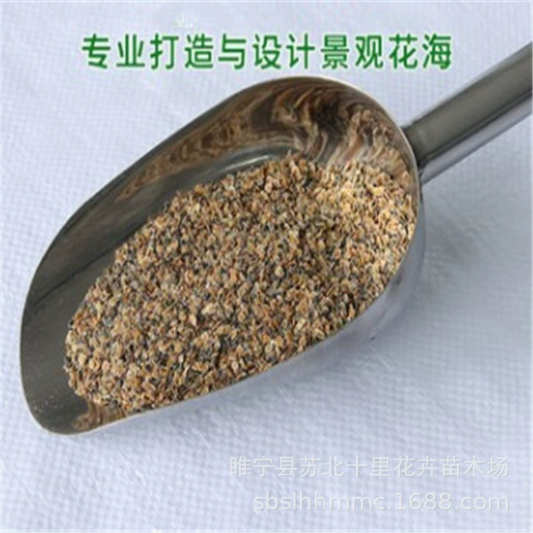 Семена цветов оптом Фиалка семена срезанный цветок синие семена четыре Персик грамм количество Конья большой Конью