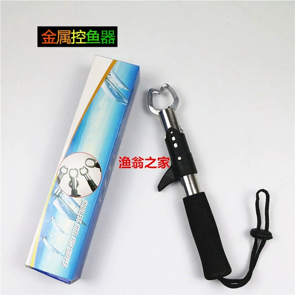 Single accusation fish device