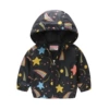 3001-2 black background starry sky