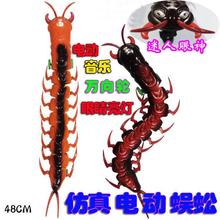 夜市电动牵绳音乐小猪狗地摊热销发光走路猪狗儿童玩具动物闪光