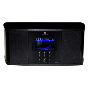 ���ݣ�Winner�� TY-W01�����{���{���o����������