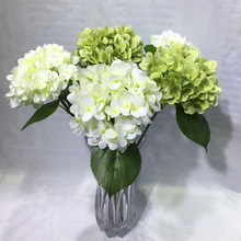 ���S���l�p�潑��3D��ӡ����羳���R�d�Ҿ��b廨�����쾰��c