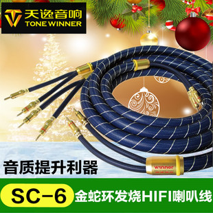 Winner/����SC-6���侀��h��HIFI���l���Ⱦ���푾�2.5��