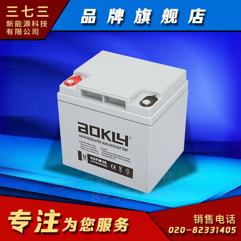 英德奥克莱阀控密封铅酸蓄电池6GFM38G 12v38ah aokly 工厂直销