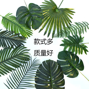 ��Ƭ�����������~���~ɢβ�~�G�~��֧�٘��~��c�b����ϼپG�~��