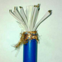 IA-RVVP ZR-IA-DJYPVP IA-DJYPVRP ����ϵ�� ���� ��̖��|