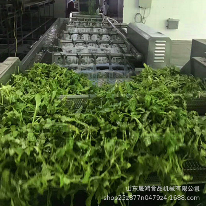 蔬菜漂烫冷却流水线 全自动叶类菜清洗线设备