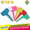 Factory supply PVC texture of material gardening Plastic label flowers and plants seed Botany label write Easy Fade