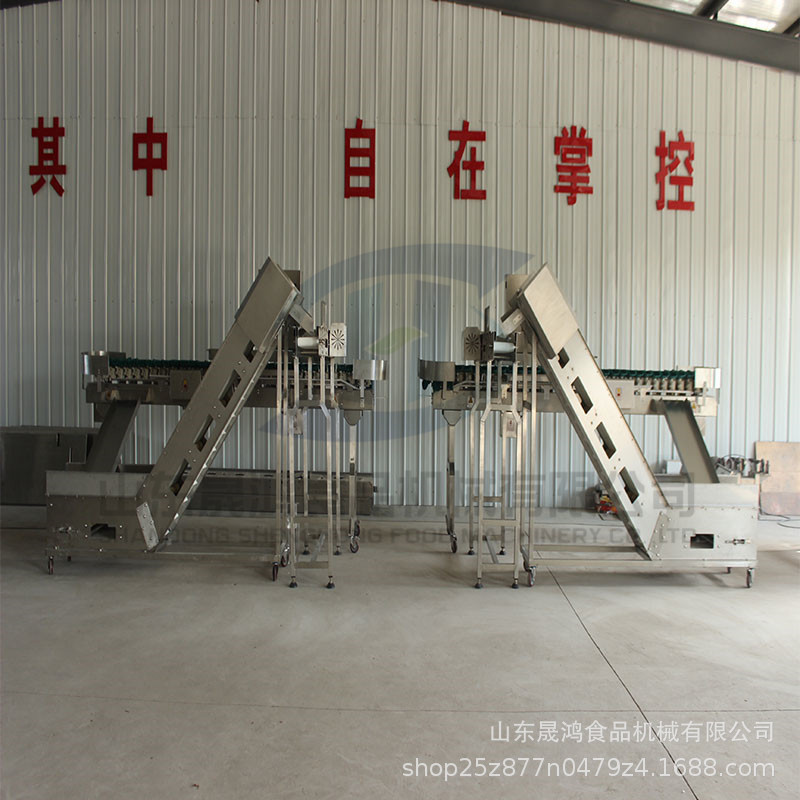 西红柿分级挑选机 水果选择机 柑桔果选机 食品厂用分选机