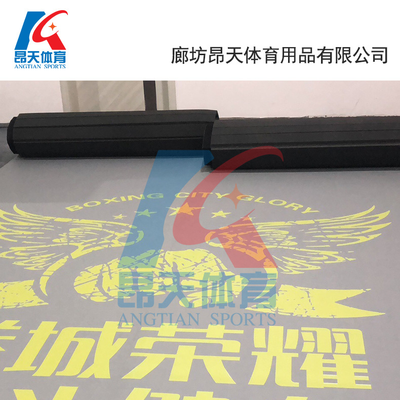 Rollo de cuero de alta densidad taekwondo lucha Mat Club Mat deportes gimnasia mat