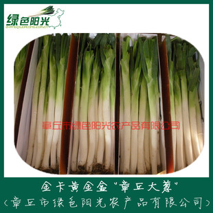 �����b���b�� ���[���l �o����������[ ɽ�|������[���l