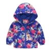 3001-16 Bald Blue Blossom Red Flower