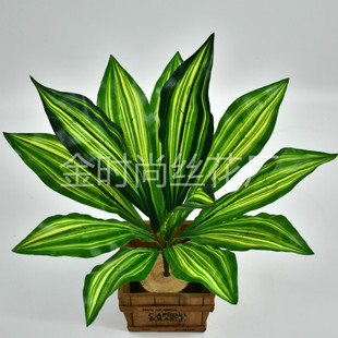 12�^�G���~����ľ�S�F���~�ӟᎧ����ֲ������ֲ��b�