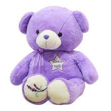 毛绒玩具紫色薰衣草小熊公仔泰迪熊毛绒玩具情人节公司活动礼品