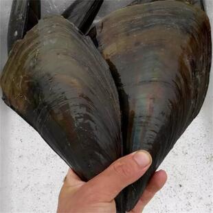 ���r�r�����r����ؐ�r��ӾGؐ��������ؐˮ�a���l���rؐ��؃r