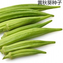 ɢ�b�S����у��|�߮a�ļ����N�߲˴���N������t����N�����l