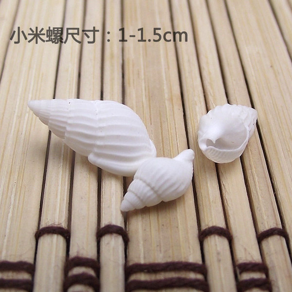 Home decoration natural conch shell aquarium decoration corn snails…