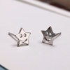 Silver needle, universal earrings, silver 925 sample, simple and elegant design
