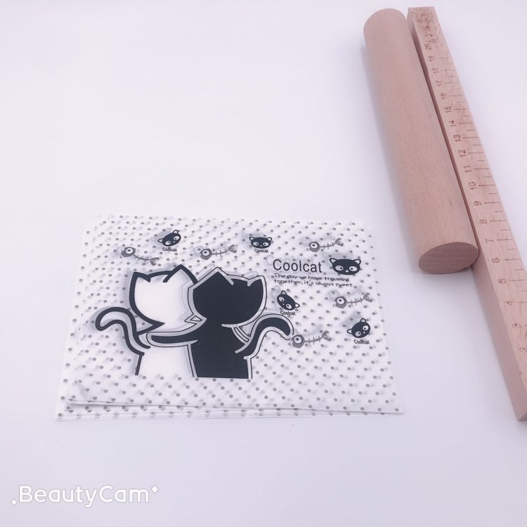 흑백 새끼 고양이