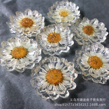 ins��ϵ�A��͸���ɻ��r�՘�֬���diy���h��ᔽ�ָ�Ʒ�������l