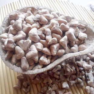 2024�������Ұ��΢ɽ����؛�����ɢ�b�ʏS�����l����s�Z�ּZ